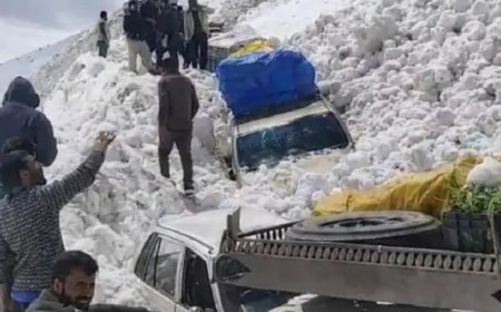 राजस्थान में आज बारिश के साथ ओले गिरेंगे; UP- बिहार के लिए IMD का अलर्ट जारी