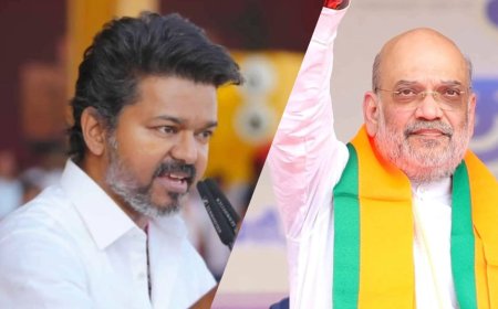 बीजेपी ने की TVK को 80 सीटें और थलापति विजय को डिप्टी CM पद की पेशकश- रिपोर्ट