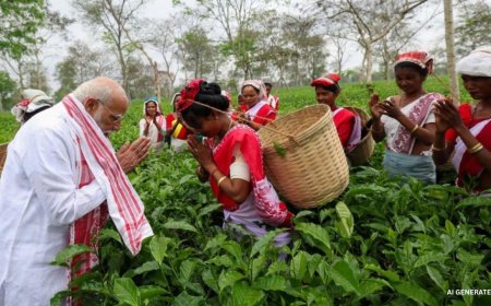 असम चुनाव के बीच चाय बागान पहुंचे PM मोदी, महिला मजदूरों संग तोड़ी पत्तियां और ली सेल्फी
