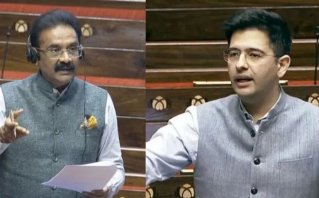 AAP Leadership Change: आम आदमी पार्टी का बड़ा फैसला, राघव चड्ढा की जगह अशोक मित्तल बने राज्यसभा के डिप्टी लीडर