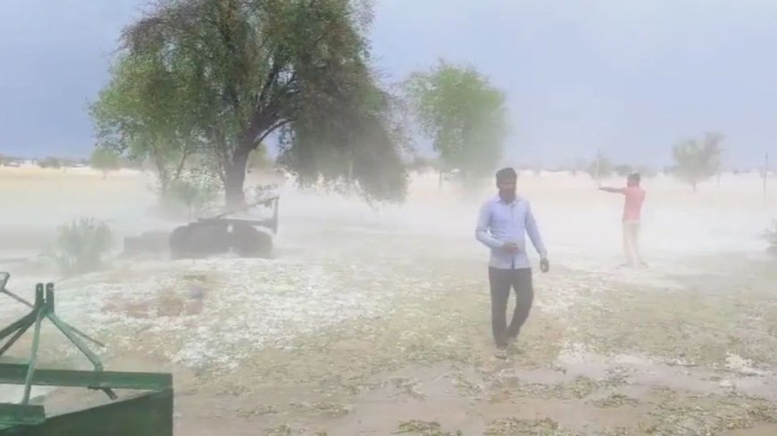 Bikaner Hailstorm: राजस्थान का बीकानेर बना कश्मीर! ओलों की सफेद चादर ने बदली तस्वीर, किसानों की बढ़ी चिंता